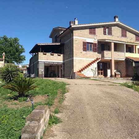 ホテルLa Tana Di Stefano アングイッラーラ・サバーツィア エクステリア 写真
